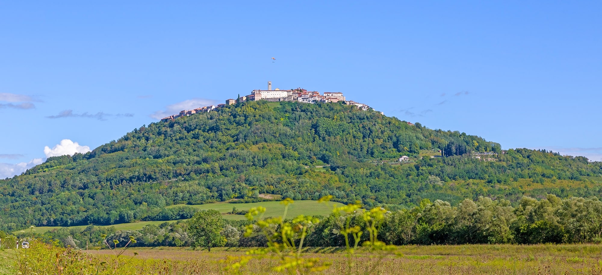 Motovun in Istria